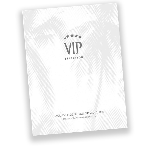 VIP-brochure-bib-visual-500X500