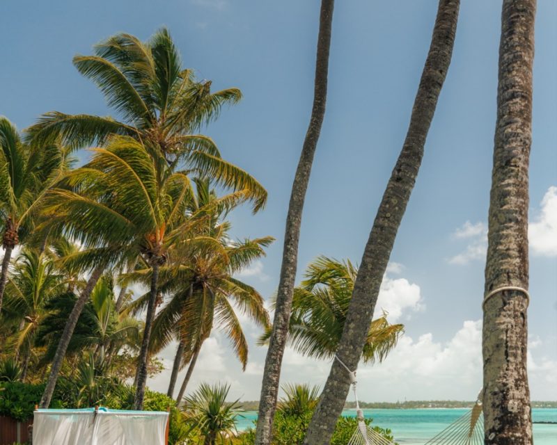 250303_OOLSG_P1_Villa1_GardenCabana_3070_MASTER-Groot