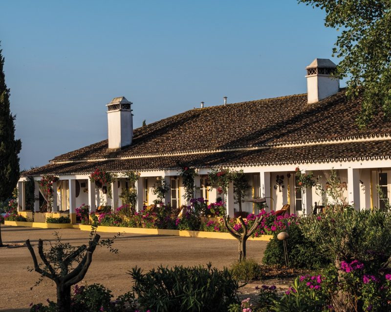 Herdade-do-Sobroso-b-groot