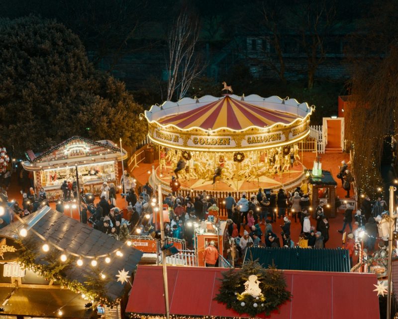 ross-sneddon-8bMYXnytrm8-unsplash-Groot